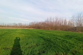 Нарезки у центра