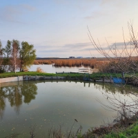 Дом 71 м² на участке 27 соток с баней, сауной, прудом и плодовым садом